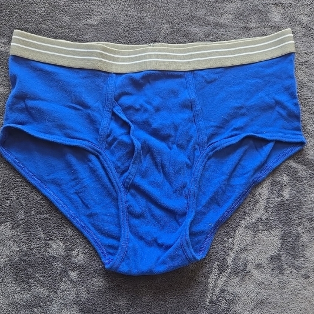 Basic Editions Blue Briefs Comfortable Underwear - image 1